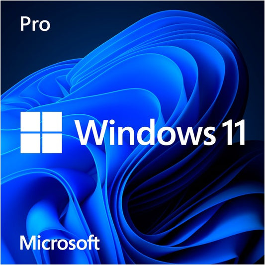 Windows 11 Pro